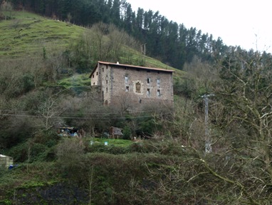 P1171229 (2)